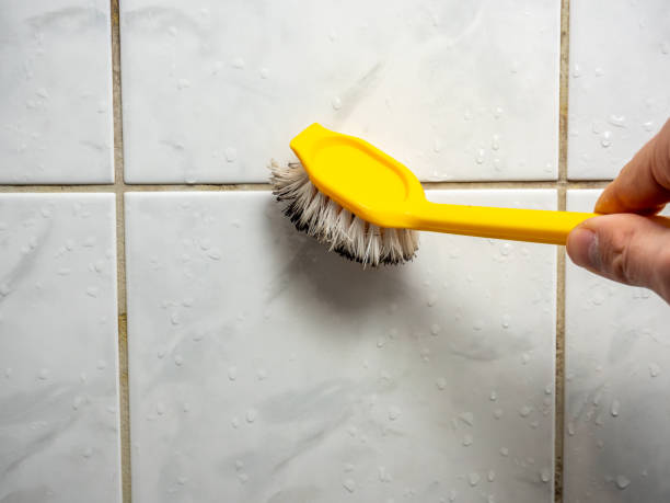 Best Mold Remediation for Schools in Geneva, WA