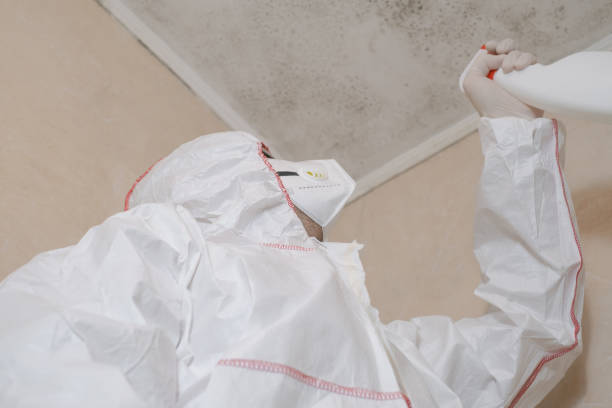 Reliable Geneva, WA Mold Remediation Solutions